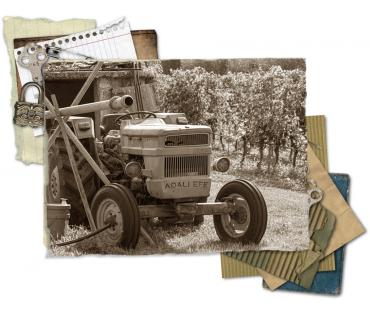 Adalı Çiftliği Tarihi